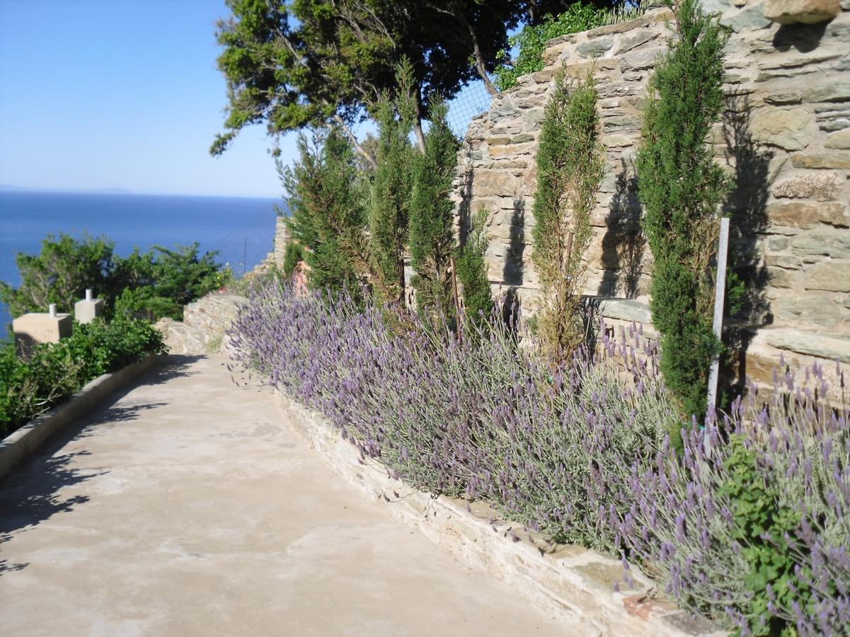 Aegean Castle Andros - Adults Only Aparthotel Agia Eleousa Ngoại thất bức ảnh